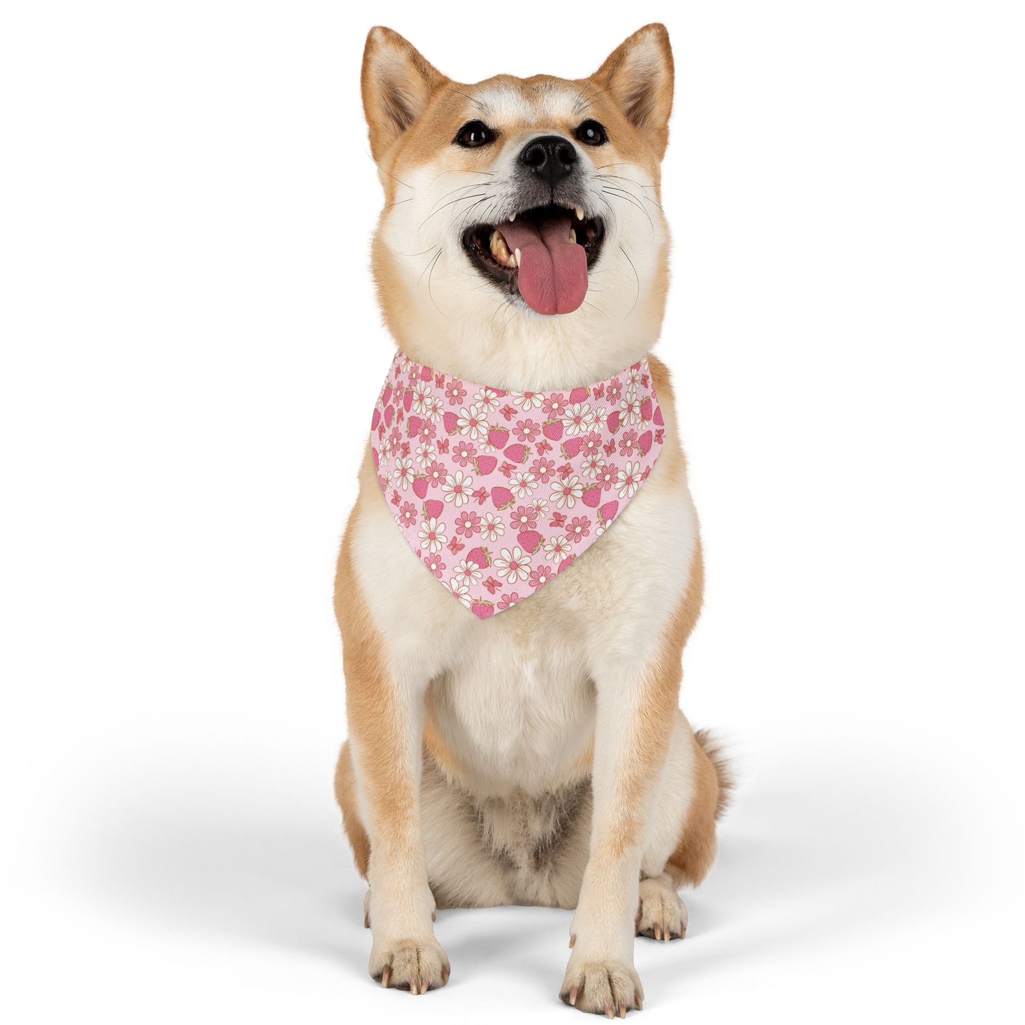 Groovy Berries Pet Bandana With Adjustable Collar