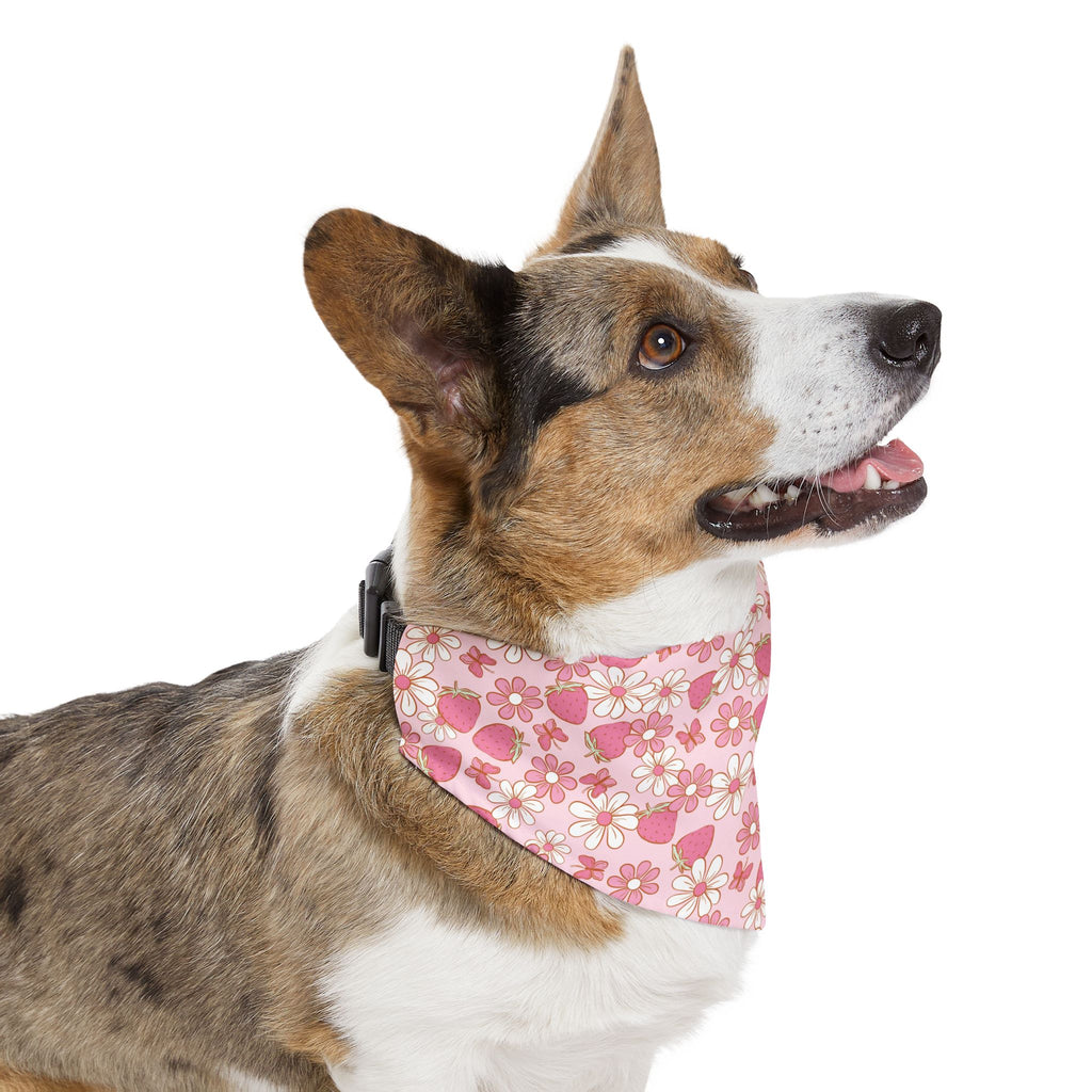Groovy Berries Pet Bandana With Adjustable Collar