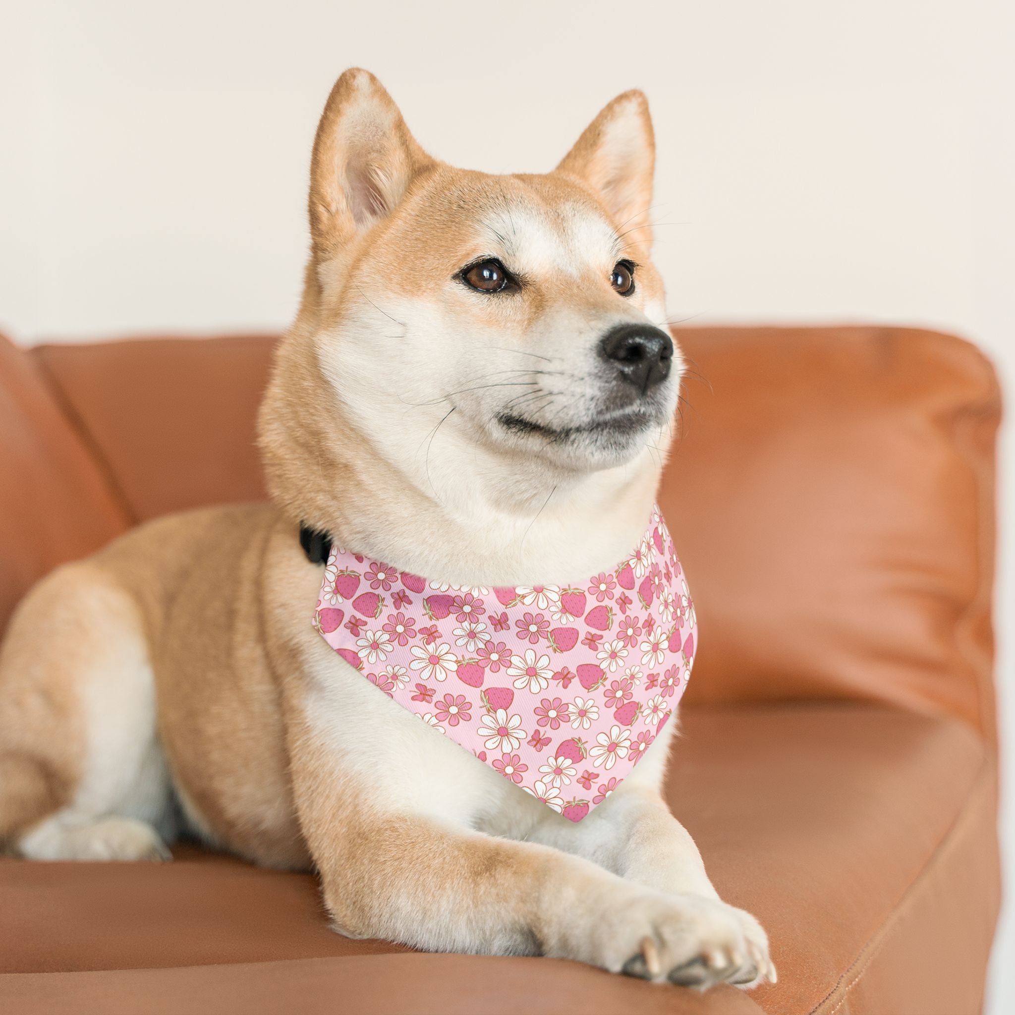 Groovy Berries Pet Bandana With Adjustable Collar