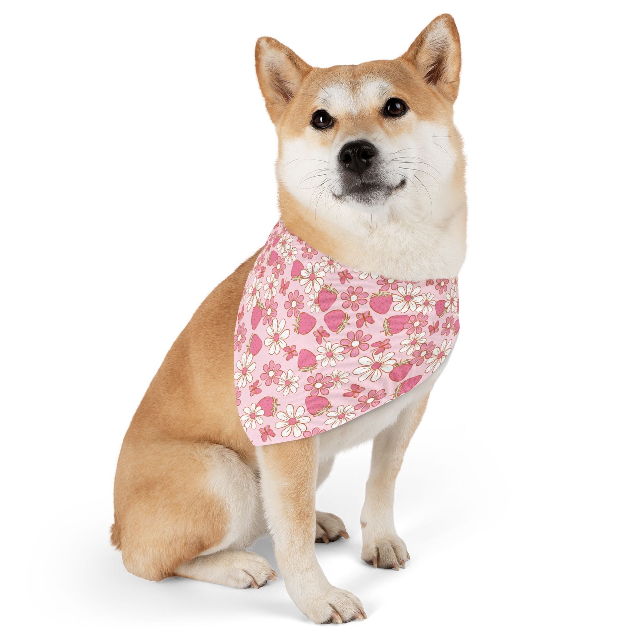 Groovy Berries Pet Bandana With Adjustable Collar