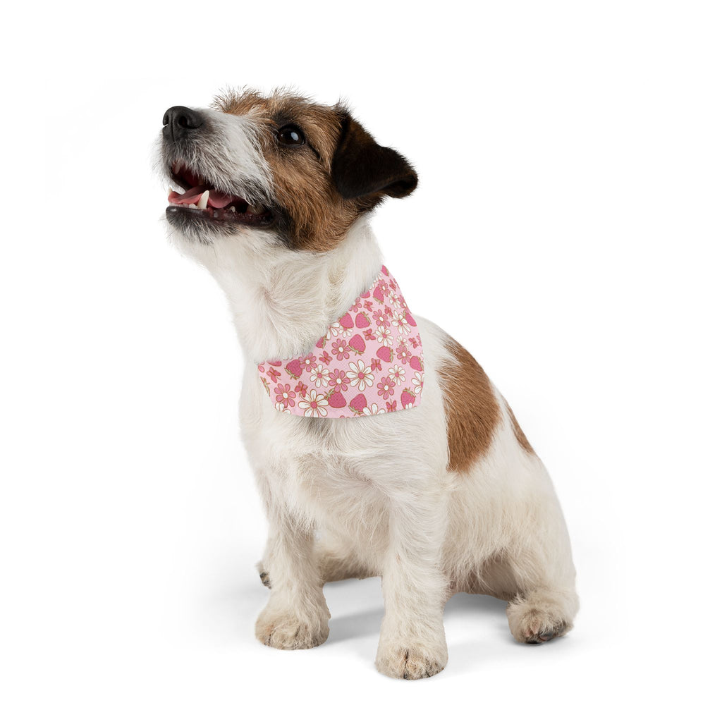 Groovy Berries Pet Bandana With Adjustable Collar