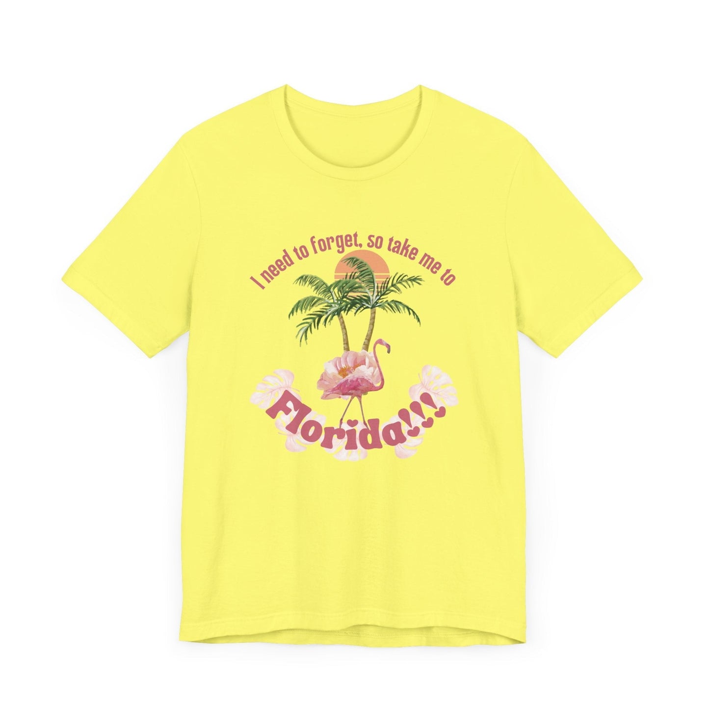 "I need to forget, so take me to Florida" Lyric Inspired T-shirt