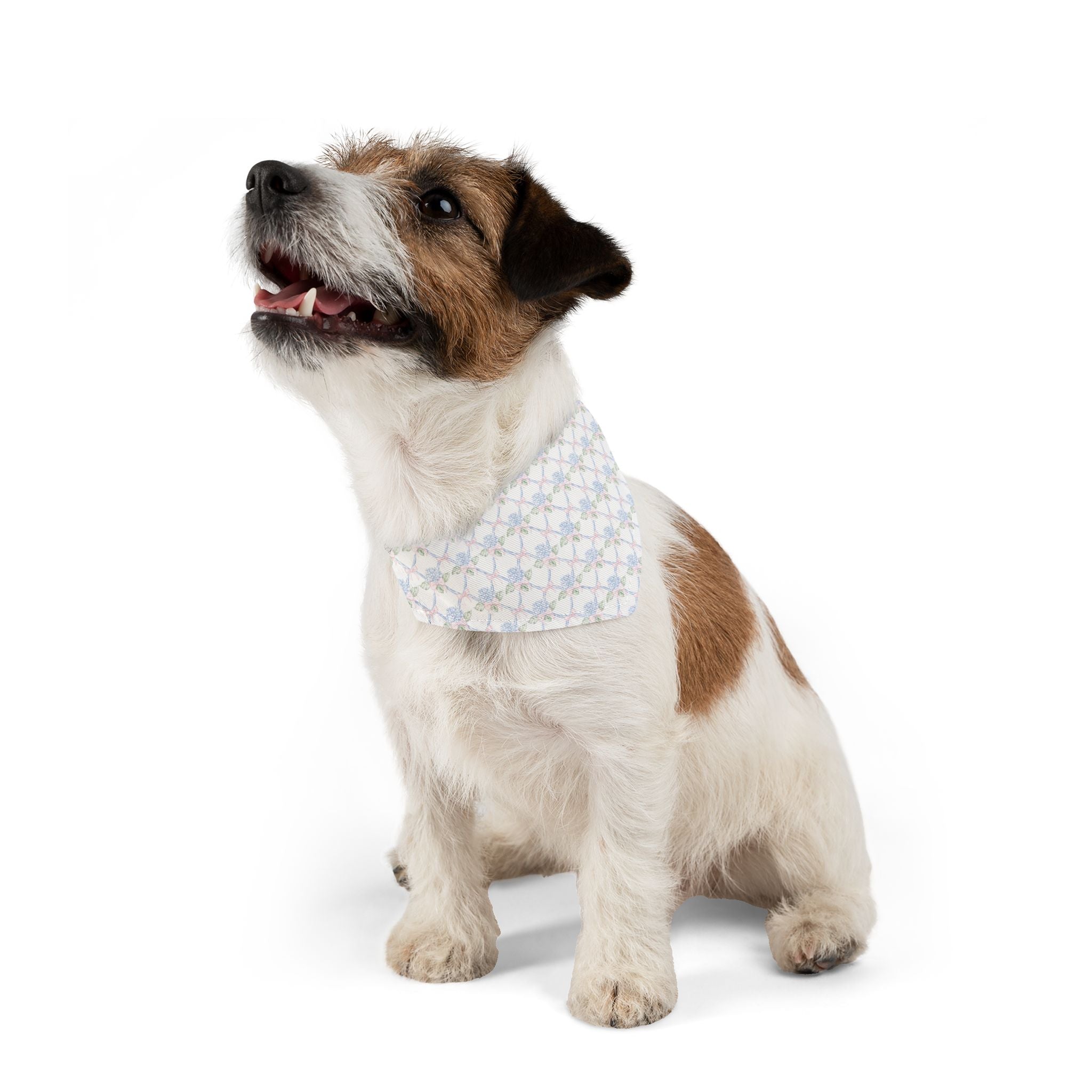 Lattice Coquette Bloom Pet Bandana With Adjustable Collar