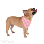 Pink bandana with a checkered ghost print for pets. Perfect for dressing p your pet for Halloween season, or anytime of year! 